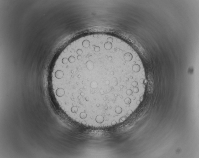 X0000116610631201001221319