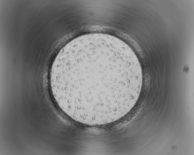 X0000116610633201001221319