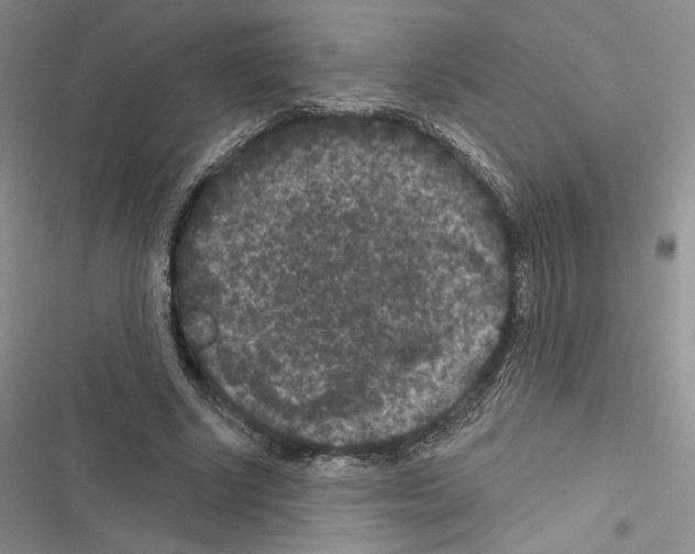 X0000116610634201001221319