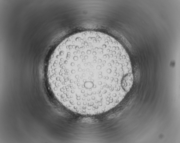 X0000116610635201001221319