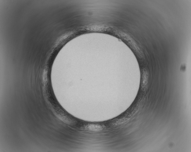 X0000116610636201001221319