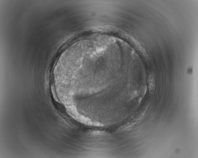 X0000116610637201001221319