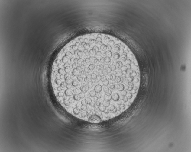 X0000116610638201001221319