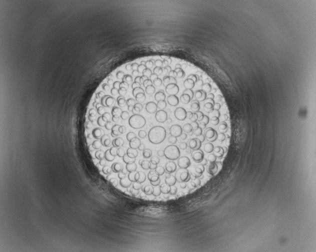 X0000116610639201001221320