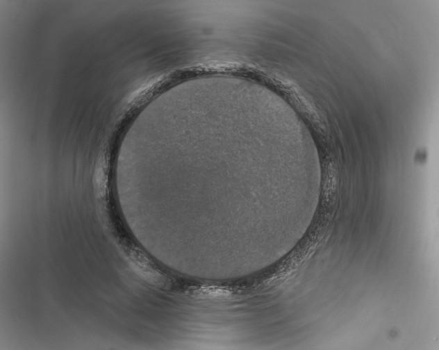 X0000116610640201001221320