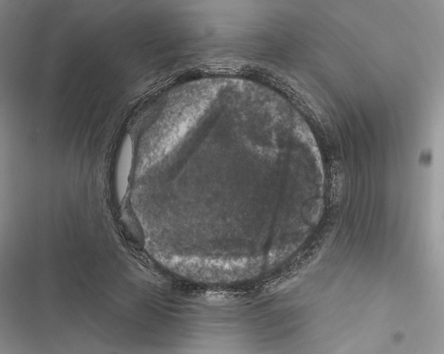 X0000116610641201001221320