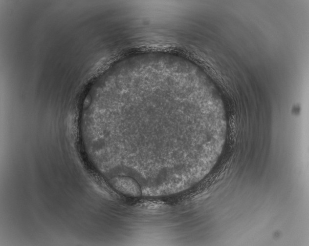 X0000116610642201001221320