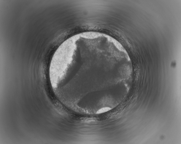 X0000116610643201001221320