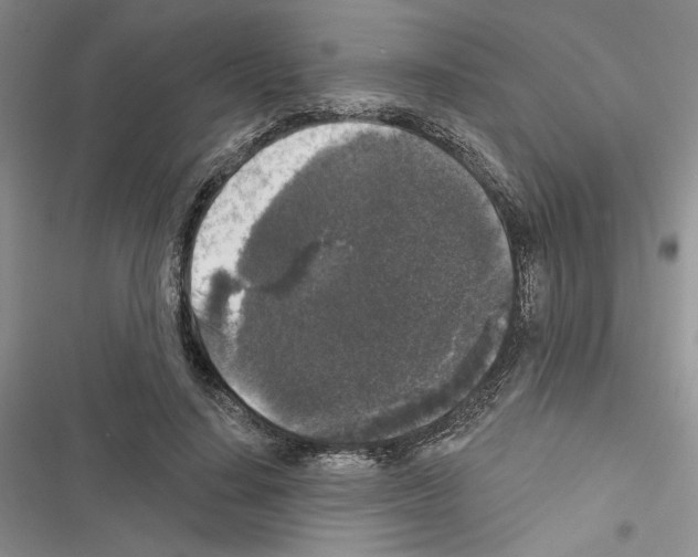 X0000116610644201001221320