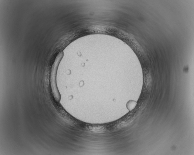 X0000116610645201001221320