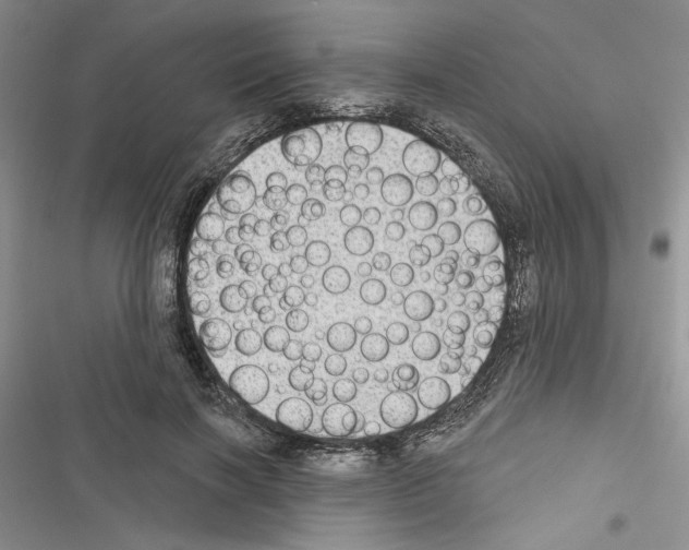 X0000116610646201001221320