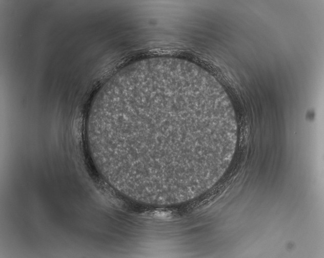 X0000116610647201001221320