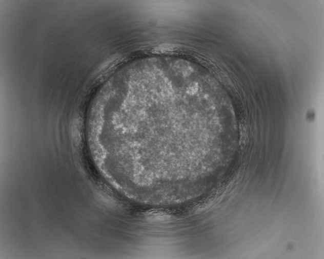 X0000116610648201001221320