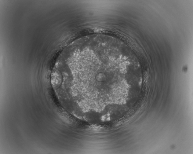 X0000116610650201001221320