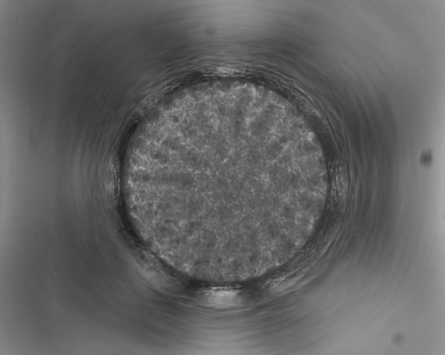 X0000116610651201001221320