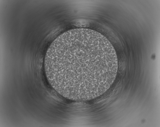 X0000116610652201001221320