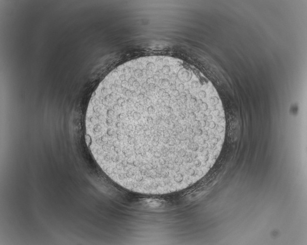 X0000116610654201001221320