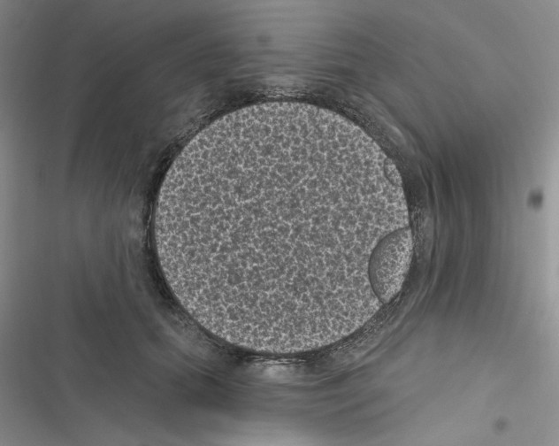 X0000116610655201001221320