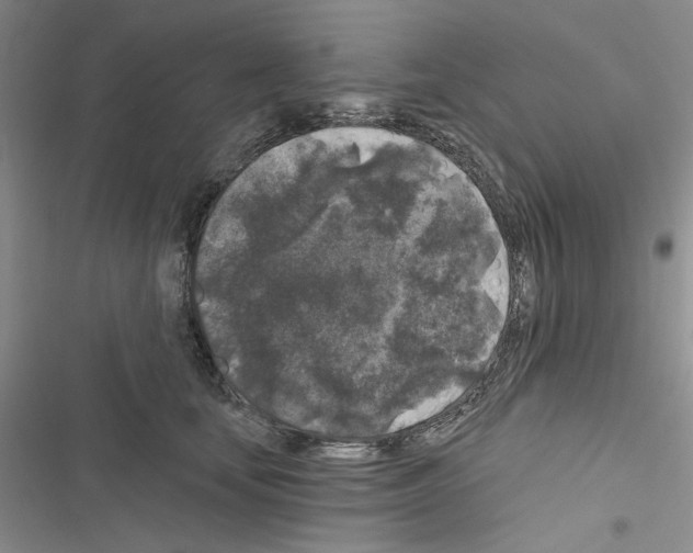 X0000116610659201001221320