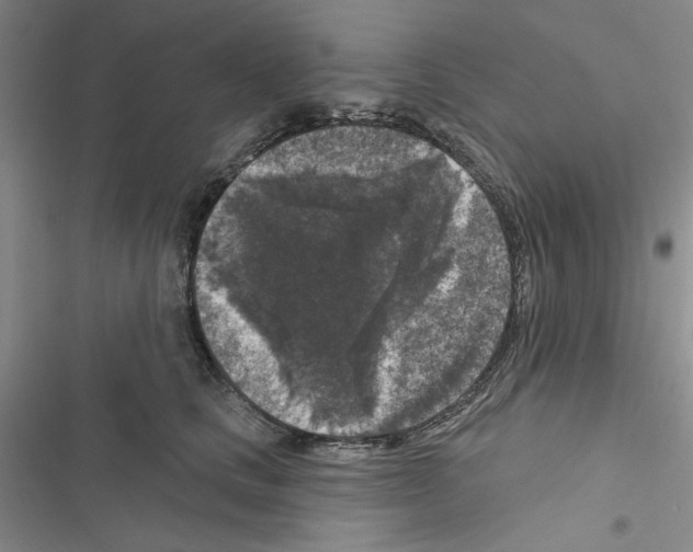 X0000116610661201001221320