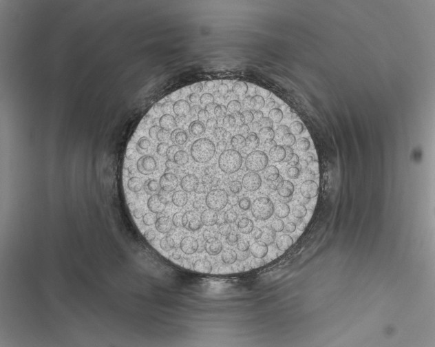 X0000116610662201001221320