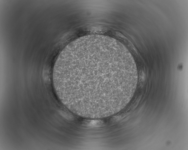 X0000116610663201001221320