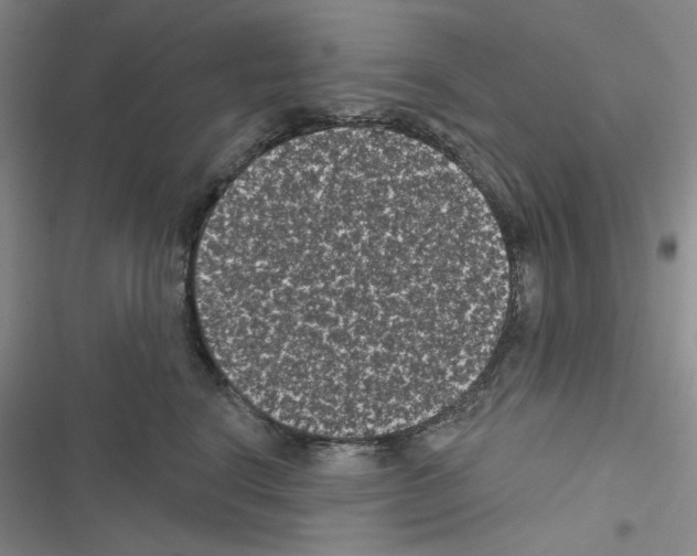 X0000116610664201001221320