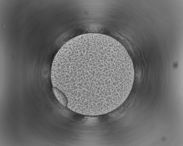 X0000116610665201001221320