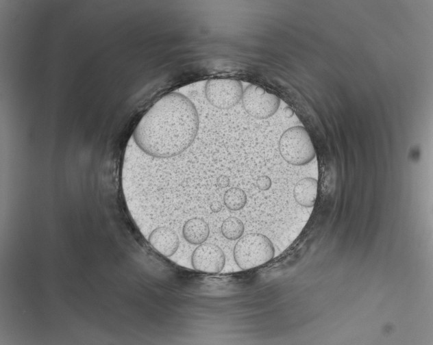 X0000116610666201001221320