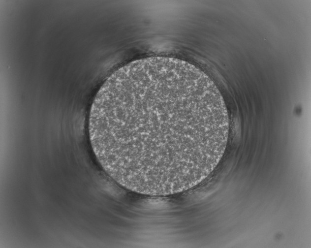 X0000116610668201001221320