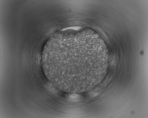 X0000116610669201001221320