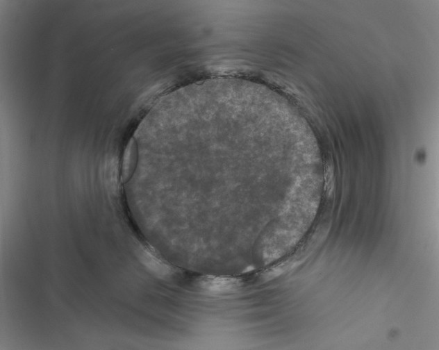 X0000116610670201001221320