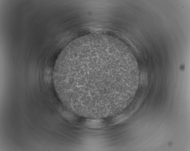 X0000116610671201001221320