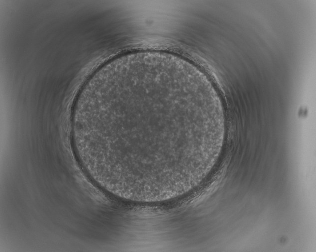 X0000116610673201001221319