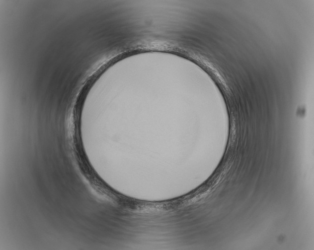 X0000116610674201001221319