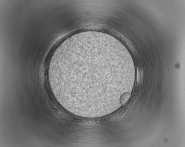 X0000116610675201001221319