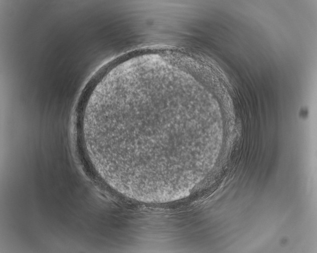 X0000116610676201001221319