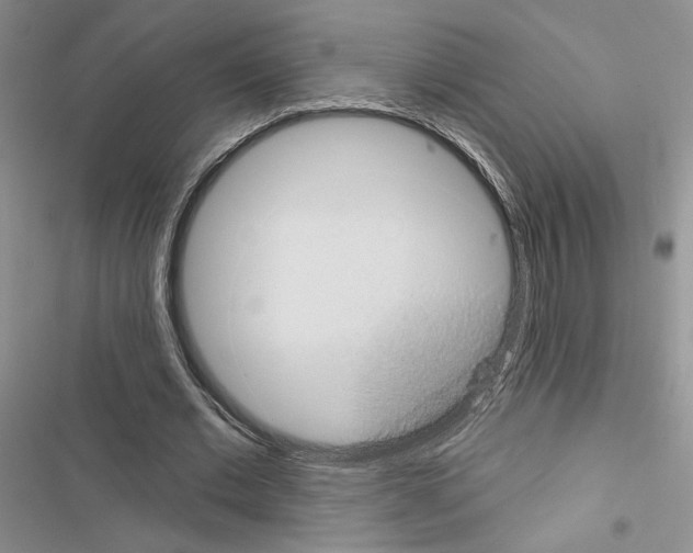 X0000116610677201001221319