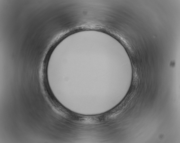 X0000116610678201001221319