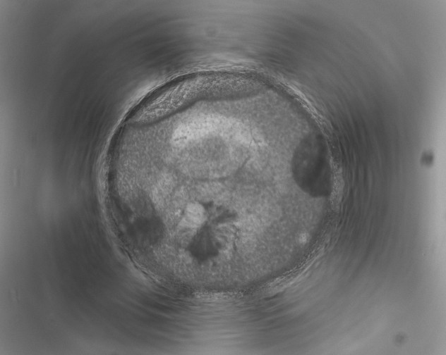 X0000116610679201001221319