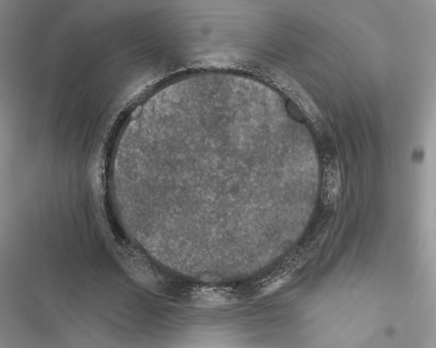 X0000116610680201001221319