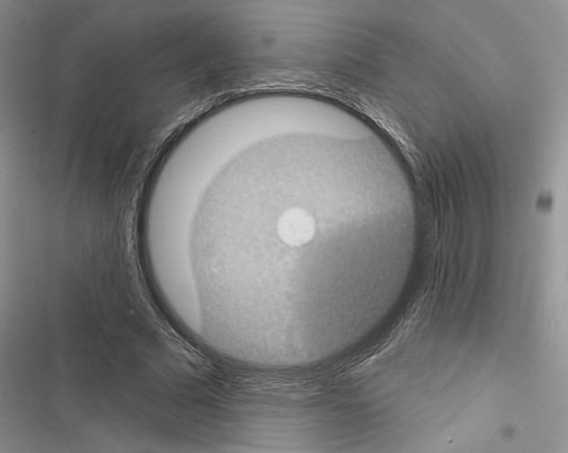 X0000116610681201001221319