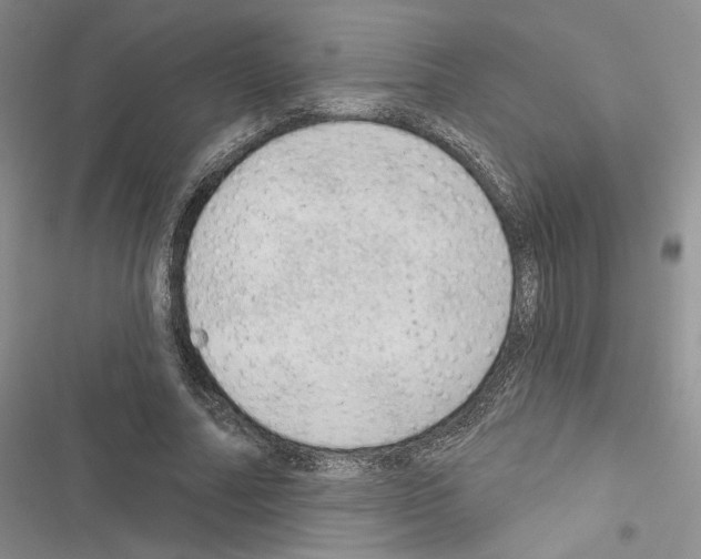 X0000116610682201001221319