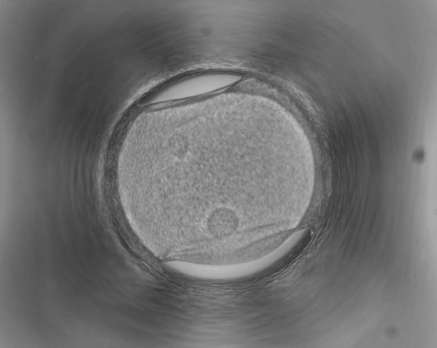 X0000116610684201001221319