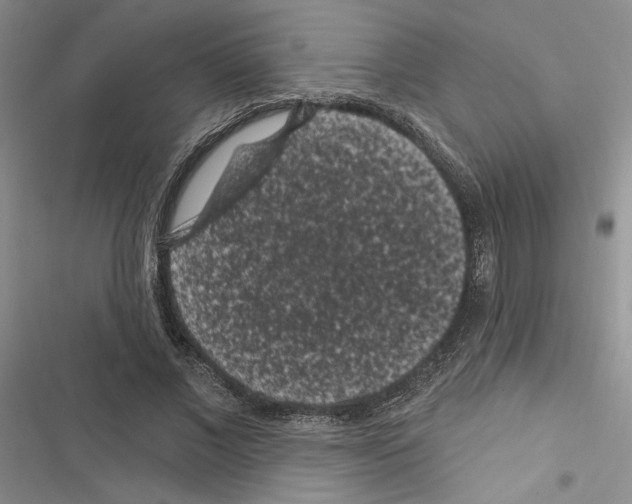 X0000116610685201001221319