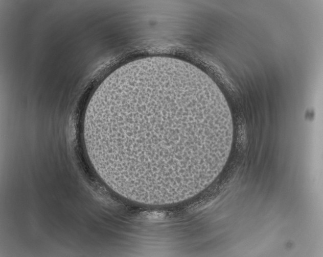 X0000116610687201001221319