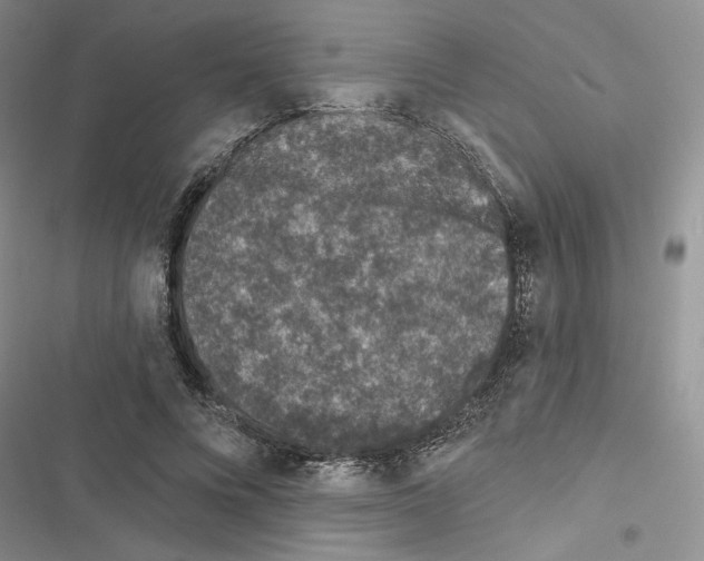 X0000116610688201001221319