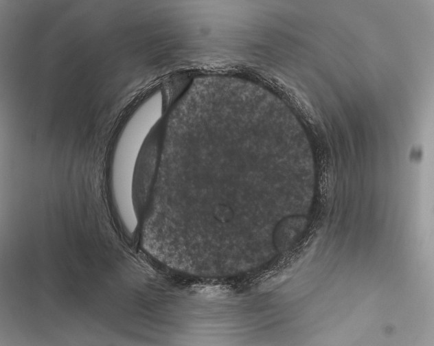 X0000116610689201001221319