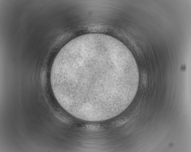 X0000116610690201001221319