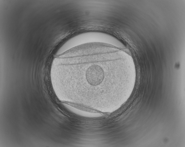 X0000116610692201001221319